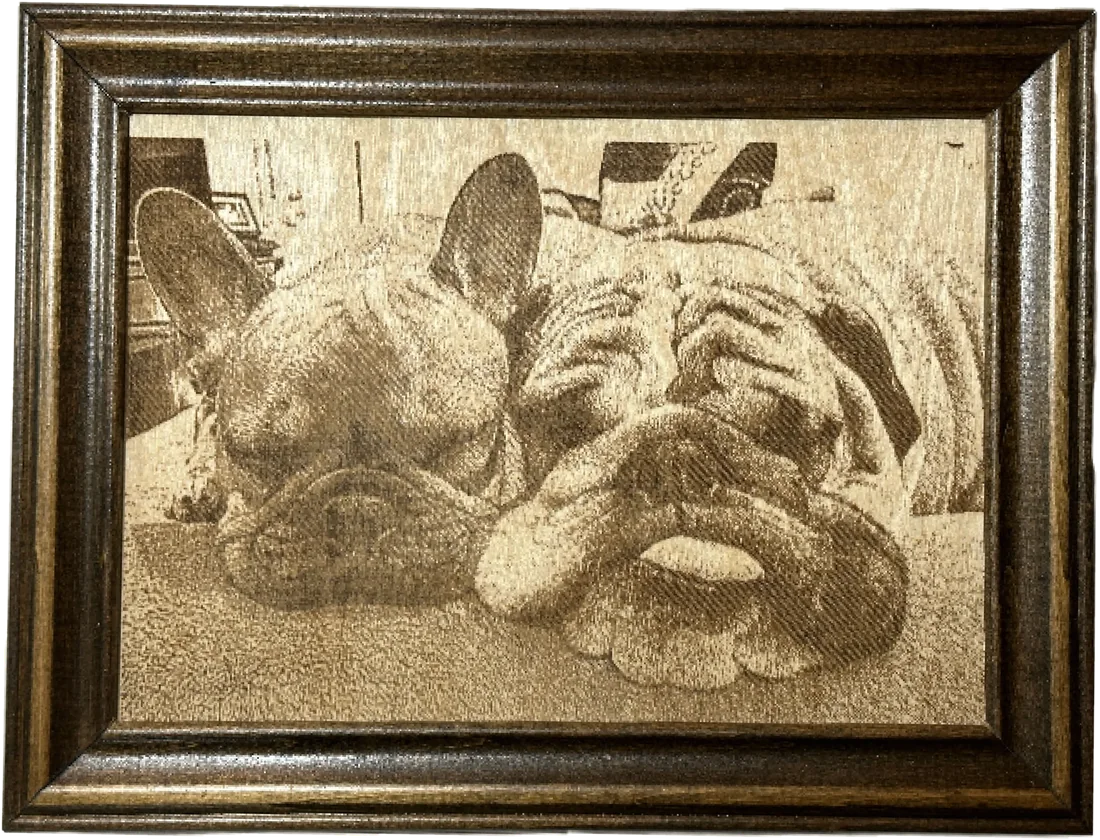 Laser-engraved photo of two bulldogs, framed