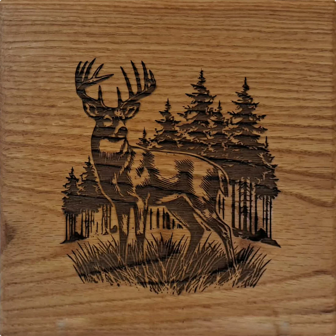 Whitetail buck and pine trees laser-engraved into a solid wood panel