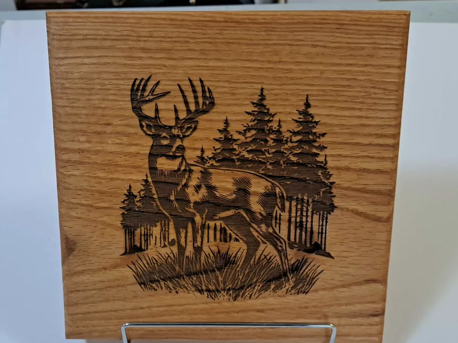 Whitetail deer and pines engraved into a maple panel